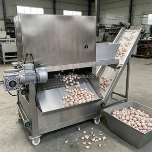 Équipement <span class=keywords><strong>de</strong></span> pelage <span class=keywords><strong>d</strong></span>'<span class=keywords><strong>ail</strong></span> haute capacité, éplucheur à chaîne en acier inoxydable, <span class=keywords><strong>d</strong></span>épelucheuse <span class=keywords><strong>d</strong></span>'<span class=keywords><strong>ail</strong></span> pour ligne <span class=keywords><strong>de</strong></span> production industrielle - Product Image 2