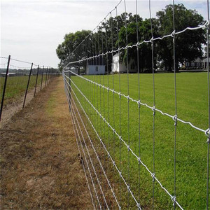 Rollo de 50m de Cerca Agrícola Tejida Galvanizada en Caliente de 1.524m (5 pies) con Nudos Fijos y <span class=keywords><strong>Curva</strong></span> de Tensión para Ciervos - Product Image 6
