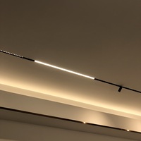 Projecteur LED sur rail magnétique DC48V, design moderne, 5000K réglable, contrôle Dali & Zigbee, 12W-36W, CRI 90, corps en aluminium