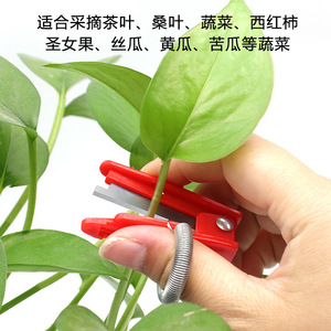Guillotine pour la cueillette des fruits et légumes, en plastique rouge et vert, avec lame à ressort, pour outils de récolte - Product Image 2