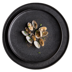Plato de cerámica negro moderno y personalizado para restaurante, ideal para carne. - Product Image 5