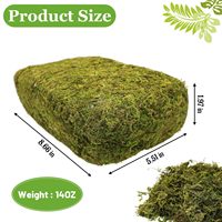 Mousse sèche véritable de Chine pour bricolage, jardin d'intérieur, bonsaï, décoration paysagère, mousse sèche artificielle de surface, vente en gros