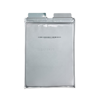Batterie Lithium-ion polymère LithoTop 58Ah NCM Cellule Pouch 3.75V Semi-solide 1500 Cycles EV Électrique 275 Wh/kg