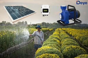 Deye High Head <b>Solar</b> Surface Water <b>Pump</b> 1.5hp 1100W Irrigation Household Hot Sell Centrifugal <b>Pump</b> OEM Customized Support L1100/ - Product Image 1