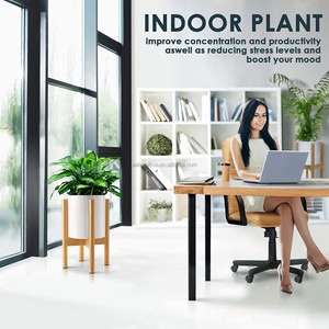 <span class=keywords><strong>Support</strong></span> écologique <span class=keywords><strong>en</strong></span> <span class=keywords><strong>bois</strong></span> de bambou, pot de plantes moderne, réglable, pour pot de fleurs, <span class=keywords><strong>support</strong></span> d'intérieur - Product Image 2