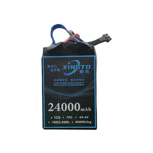 Baterai Lithium Solid State 1000 mah baterai fullymax hidup sepeda Lone 29000 kali untuk drone industri