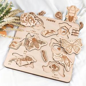 ปริศนาการเรียนรู้แมลงแบบหลายชั้น - ของเล่นไม้เพื่อการศึกษาสำหรับเด็กเพื่อการเรียนรู้เบื้องต้นเกี่ยวกับกายวิภาคของแมลงและวงจรชีวิต - Product Image 3