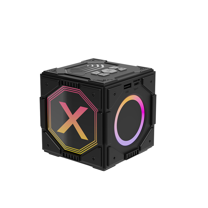 Portable OEM Logo Smart Music Boxing