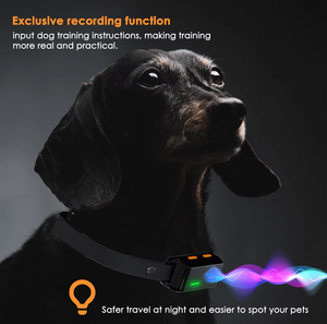 Collar de Adiestramiento para Perros 2 en 1 Recargable 2026 con Control Automático de Ladridos, Alcance de 1640 pies, 16 Niveles y 3 Modos - Product Image 6