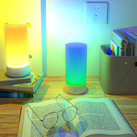 Lampe de table d'ambiance pour chevet, lampe de nuit décorative pour chambre à coucher, bureau à domicile, éclairage d'ambiance