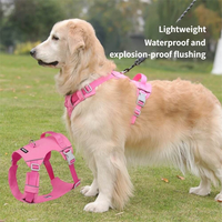 Harnais et laisse pour chien en nylon robuste, design léger et respirant, avec des caractéristiques réglables et confortables