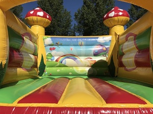 Château gonflable sur le thème <span class=keywords><strong>des</strong></span> champignons, adorable maison de champignons de conte de <span class=keywords><strong>fées</strong></span>, château gonflable robuste en PVC pour enfants - Product Image 5