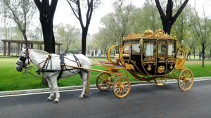 Fabricant chinois de calèches électriques à vendre / calèche royale électrique - Product Image 6