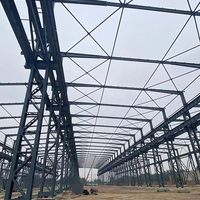 Estructura Metálica Prefabricada de Alta Calidad para Fábrica/Almacén, Gran Vano, Acero Q235/Q355, Nave Industrial