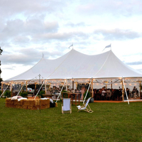 Tente de mariage en tissu extensible 10x30 pieds, structure facile à monter, tente de fête pour jardin, week-end, extérieur, famille, carpas pour événements