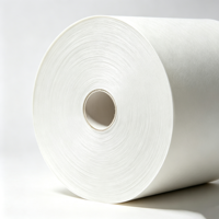 Printable Extensible White Kraft Paper High Tear Resistance Elastic Sack Paper for Dry Mortar Putty Powder Sacks