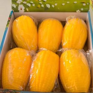 En stock, ¡Gran éxito de ventas! Lindos juguetes antiestrés de maíz para apretar, para niños y adultos. Juguetes de maíz para apretar. - Product Image 3
