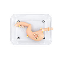 SY-NS19 Endoscopic Training System Gastroduodenal Model with Animal Tissue Assembly for Hands-on Practice
