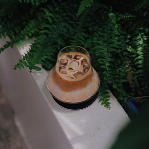 Boire chaud 300ML comète forme verre tasse à café tasse bouche étroite tasse en verre tasses - Product Image 2