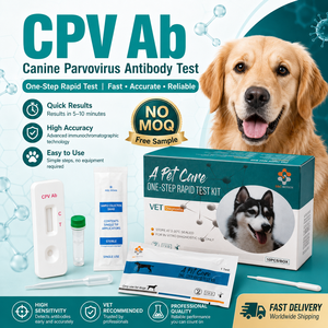 Kit per Test Rapido Anticorpale Lyme Ab Canine per Screening della Malattia di Lyme nei Cani da Esterno Affetti da <span class=keywords><strong>Zecche</strong></span>, Senza MOQ e Campione Gratuito - Product Image 5
