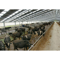 Abri de ferme en acier coloré résistant aux intempéries