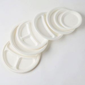 Vaisselle en bioplastique Hangzhou – Assiettes jetables biodégradables en bagasse de canne à sucre, vente en gros - Product Image 4