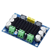 Carte d'amplification Audio numérique, RDS électronique, TPA3116 D2 TPA3116DA DC 12V 24V 100W, Mono canal