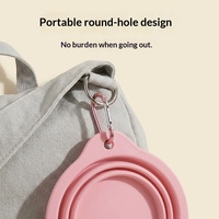 Bol pliable en silicone pour animaux de compagnie, portable, pour l'extérieur, de qualité alimentaire, pour l'eau
