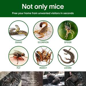 Trampa de <span class=keywords><strong>Pegamento</strong></span> Plegable <span class=keywords><strong>para</strong></span> Ratones <span class=keywords><strong>Grandes</strong></span>, Tablas Adhesivas Súper Potentes, Eliminación Efectiva de Ratones en Interiores - Product Image 3