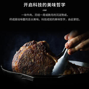 168N1 Venda Quente Aço Inoxidável Seco Refrigerador Carne Ager Carne Seco Refrigerador Carne Seco Envelhecimento Seco Ager Refrigerador Gabinete De Carne - Product Image 5