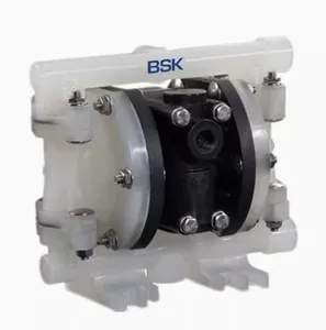 BP06PP-PTT4-B 154 BA254-C 6566-TC-<strong>01</strong> PEB-PP-PP-TF-TF PEA-PPPPTFTF <strong>BSK</strong> pneumatic diaphragm pump - Product Image 1