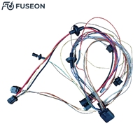 Harnais de câblage automobile personnalisé pour portières et carrosseries, assemblage multi-branques, fabricant OEM ODM 12V 24V