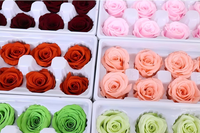 Lot de 8 têtes de roses éternelles préservées de 4-5 cm, mini roses artisanales pour centres de table de mariage, fête des Mères, arrangements floraux DIY