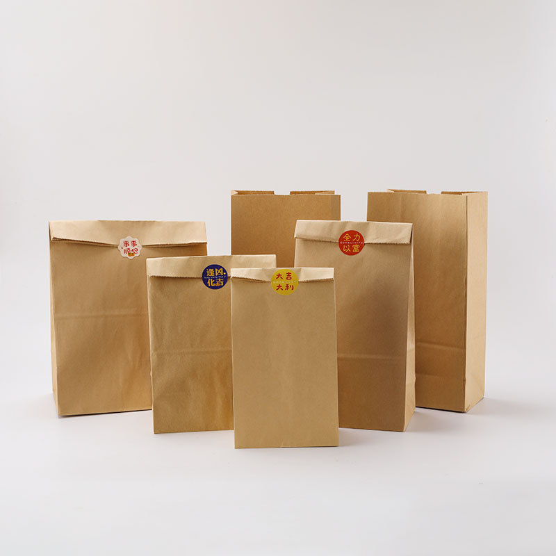Custom Shopping Paper Bag Packaging Luxury Gift Paper Bags with Your Own Logo