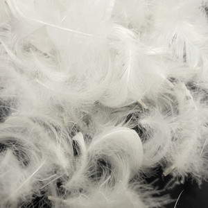 ไส้หมอนขนห่านพรีเมียม 50% ขนห่าน ขนาด 2-4 ซม. ปลอกผ้านวม ท็อปเปอร์ที่นอน ทำความสะอาดง่าย สีขาว ผลิตในสหรัฐอเมริกา ได้รับการรับรองมาตรฐาน OEKO-TEX - Product Image 2