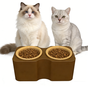 Bol pour chat personnalisé 2 en 1 détachable, bol en céramique surélevé pour l'eau et la nourriture, anti-vomissement, avec support - Product Image 1