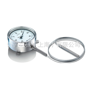 Sensor de Temperatura Baumer TSF Pt100 de 500 mm de Acero Inoxidable para Uso en la Industria Alimentaria - Product Image 1