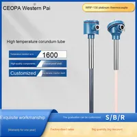 WRP-130 Platinum Rhodium Thermocouple High Temperature Resistant 1800℃ S/B/R Type Wigang Temperature Instruments