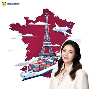 海运物流公司阿里巴巴认证货运代理Fba Ddp空运海运铁路卡车运输代理中国到欧洲DDP - Product Image 6