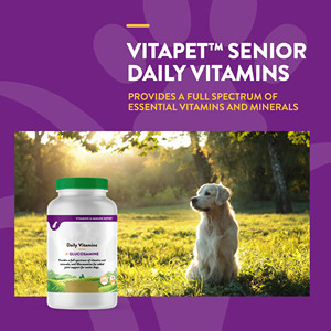 <span class=keywords><strong>Vitaminas</strong></span> Diarias para <span class=keywords><strong>Perros</strong></span> Mayores OEM/ODM con Glucosamina - Masticables Multivitamínicos Completos y de Apoyo a las Articulaciones para Articulaciones Saludables - Product Image 3