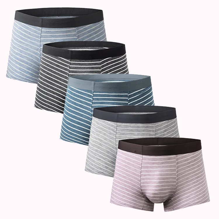 Boxer pour hommes, sous-vêtements de couleur classique, coffre avec poche pour pénis, respirant, personnalisé, avec Logo