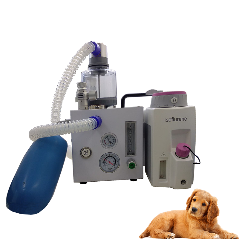 China portable anesthesia machine price from manufacturer Superstar