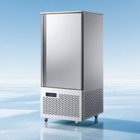 10/12/15/18-Trays Blast Coolers Réfrigérateur commercial rapide à refroidissement par air automatique pour le stockage du poulet