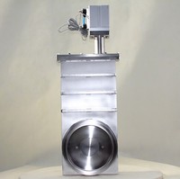 Vanne à opercule en acier inoxydable UHV haute vacuüm avec actionneur pneumatique pour applications de gaz de laboratoire haute température DN200 du fabricant CF200