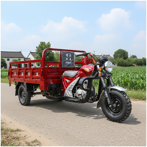 Tricycle à marchandises pour adultes à trois roues à essence à benne basculante motorisé avec cabine ouverte, vente chaude - Product Image 4