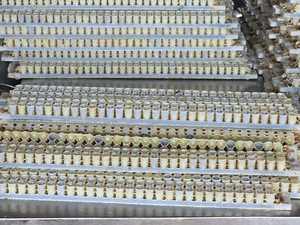 BEESTAR OEM produit de soins de santé <span class=keywords><strong>gelée</strong></span> <span class=keywords><strong>royale</strong></span> fraîche liquide naturel organique <span class=keywords><strong>gelée</strong></span> <span class=keywords><strong>royale</strong></span> fraîche 10-HDA 1.4% pour améliorer le <span class=keywords><strong>sommeil</strong></span> - Product Image 4