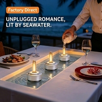 Lampe de camping LED flottante à eau salée avec indice de protection ABS et IP65, fonctionne à l'eau salée et à l'air pour l'éclairage intérieur/extérieur