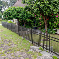 Valla de jardín inoxidable, valla de piquete moderna, cubierta de polvo negro, 6x8, seguridad, hierro forjado, parte superior plana, valla de acero, modelado 3D