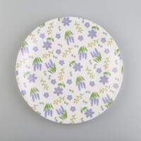 Assiette plate en plastique de 10 pouces avec motif floral, imprimé décalcomanie, durable, peinte à la main, design mignon, pour aliments