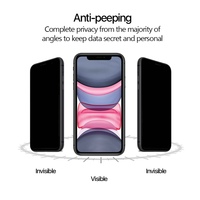 Pour iPhone 11 3d Confidentialité 9h 0.33mm Verre Trempé Couverture Complète Verre D'écran De Téléphone Mobile pour iPhone 11 Pro Max Protecteur D'écran